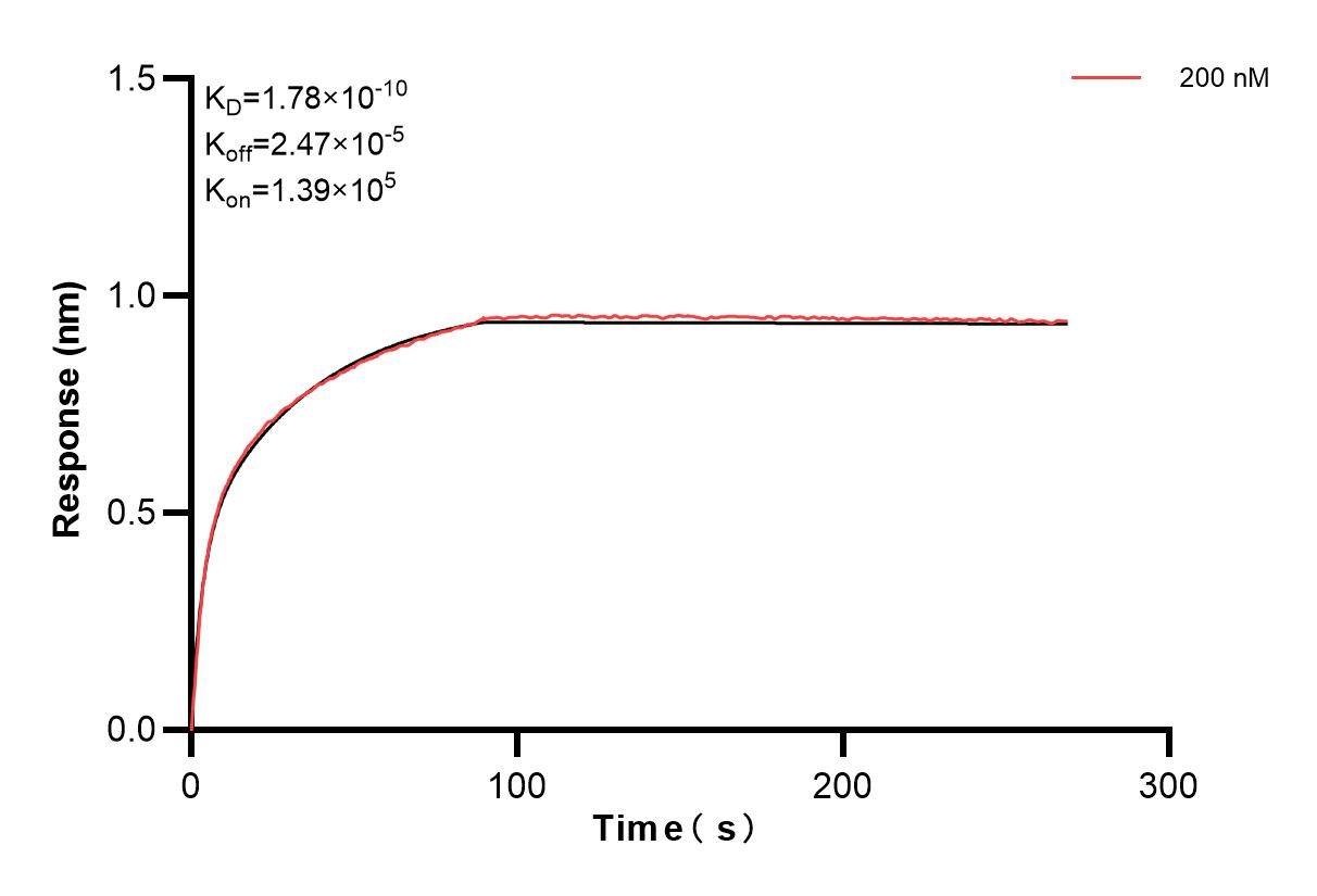 Affinity and Kinetic Characterization of 84053-3-PBS