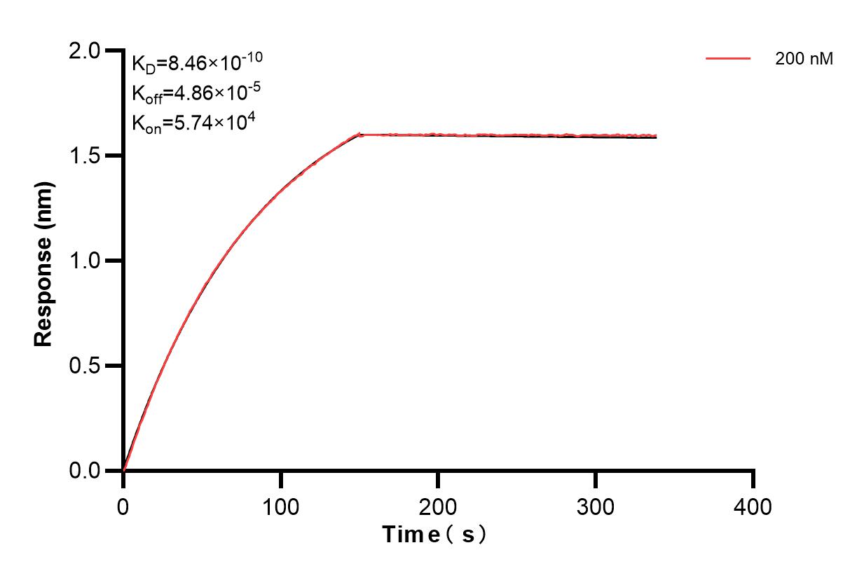 Affinity and Kinetic Characterization of 84054-1-PBS