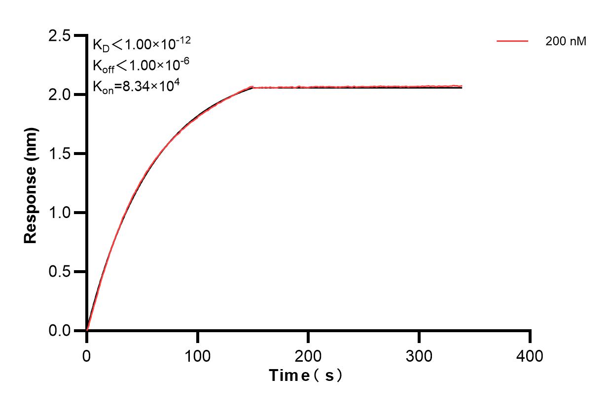 Affinity and Kinetic Characterization of 84054-2-PBS