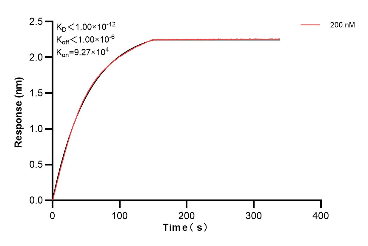 Affinity and Kinetic Characterization of 84054-5-PBS