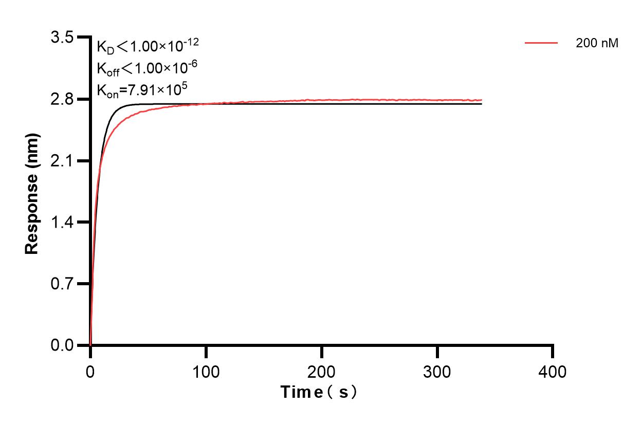 Affinity and Kinetic Characterization of 84061-1-PBS