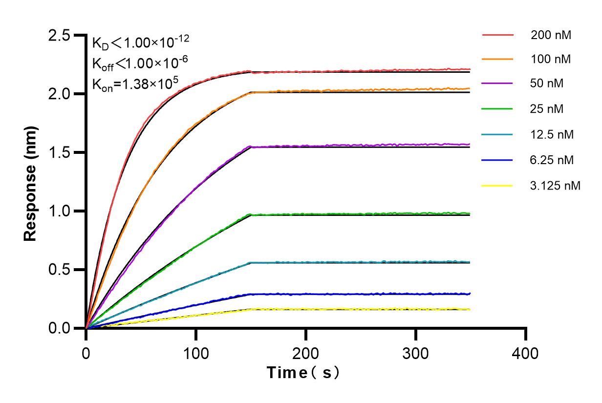 Affinity and Kinetic Characterization of 84063-1-RR