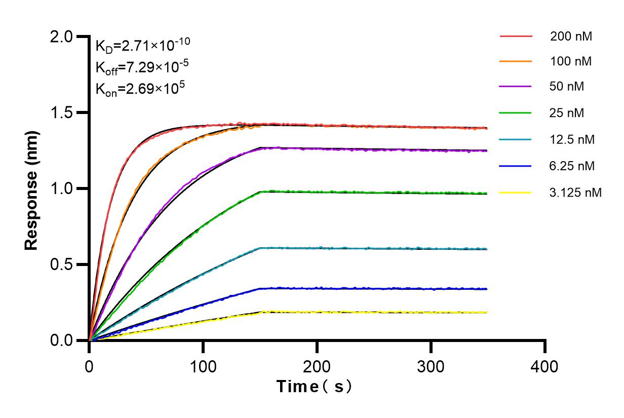 Affinity and Kinetic Characterization of 84070-1-RR