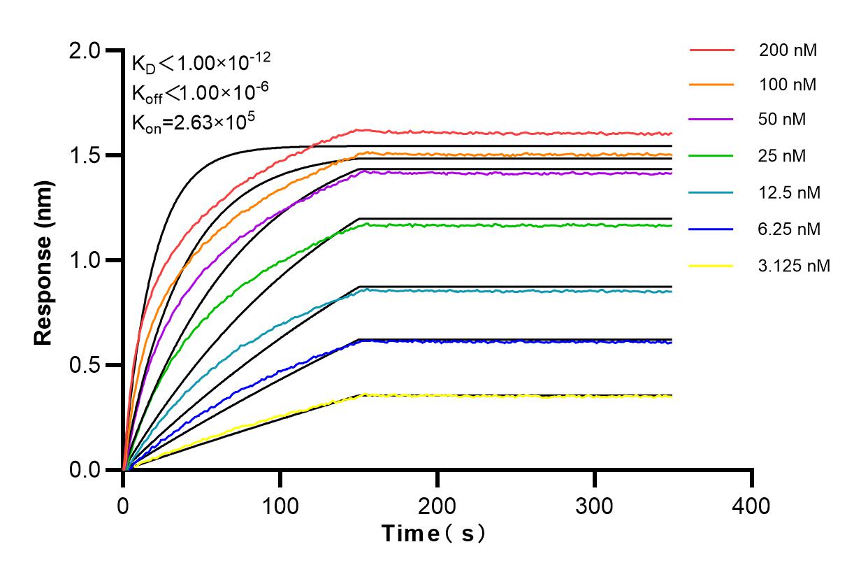 Affinity and Kinetic Characterization of 84095-6-RR