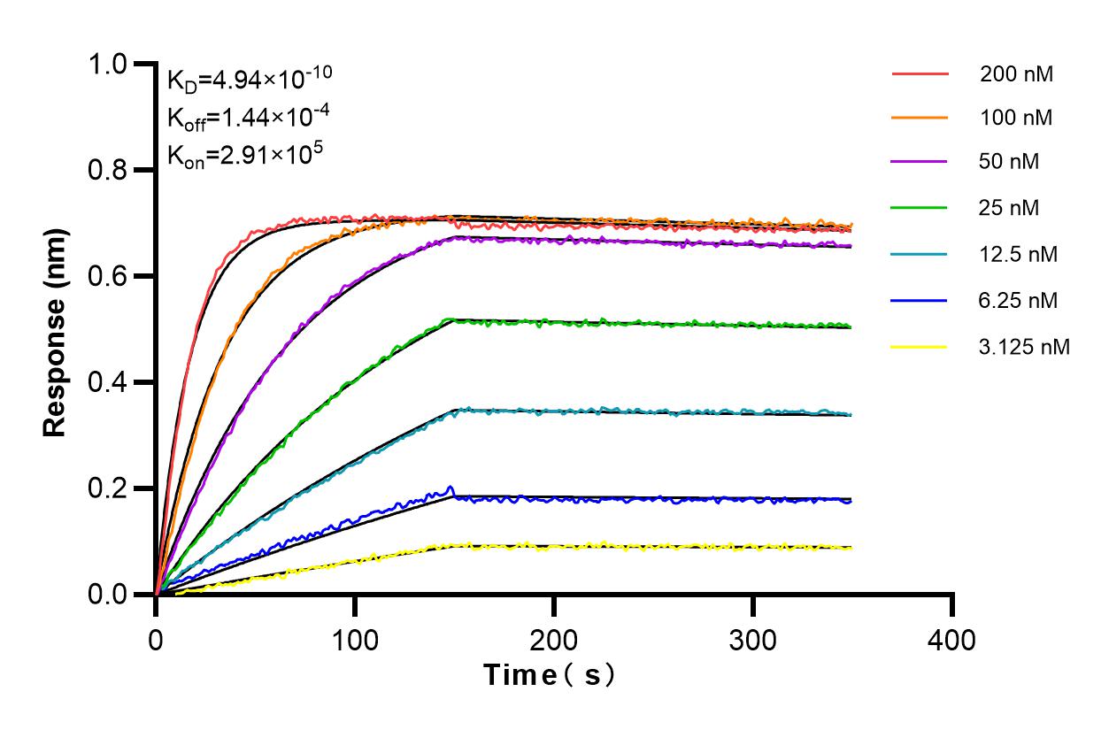 Affinity and Kinetic Characterization of 84108-5-RR