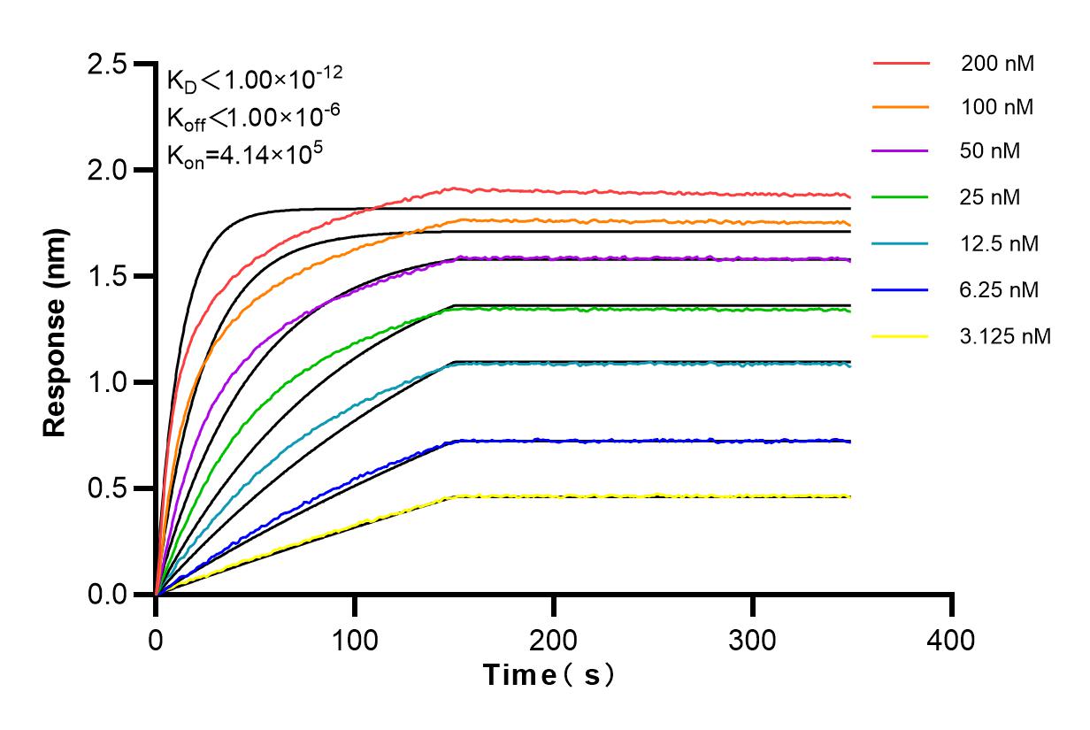 Affinity and Kinetic Characterization of 84111-2-RR