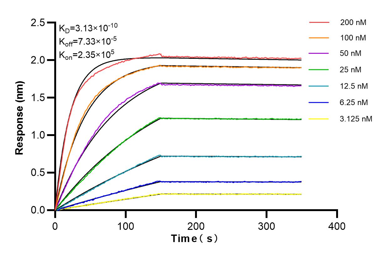 Affinity and Kinetic Characterization of 84115-1-RR