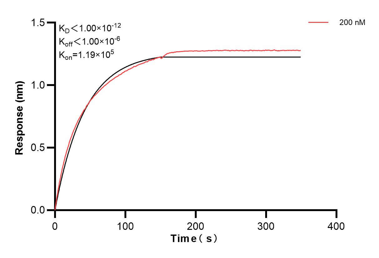 Affinity and Kinetic Characterization of 84115-5-PBS