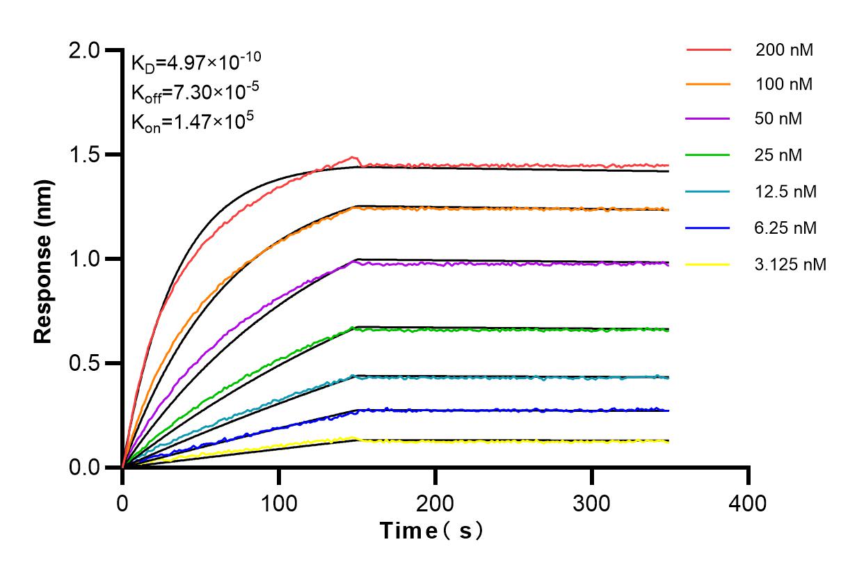 Affinity and Kinetic Characterization of 84115-6-RR