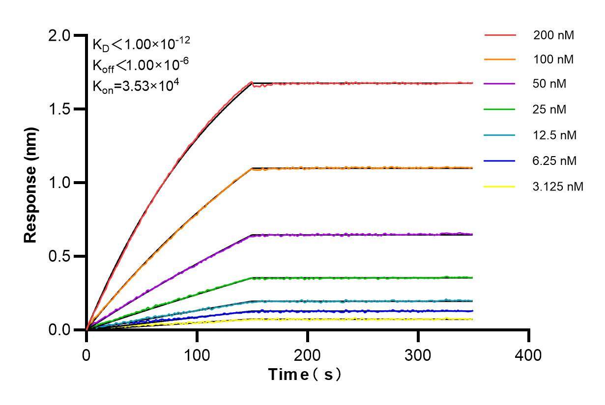 Affinity and Kinetic Characterization of 84119-3-RR