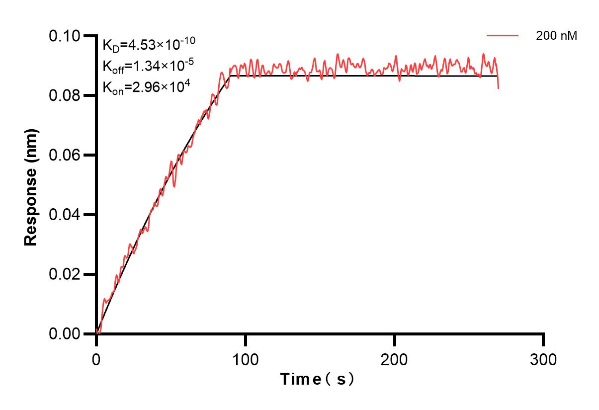 Affinity and Kinetic Characterization of 84129-1-PBS