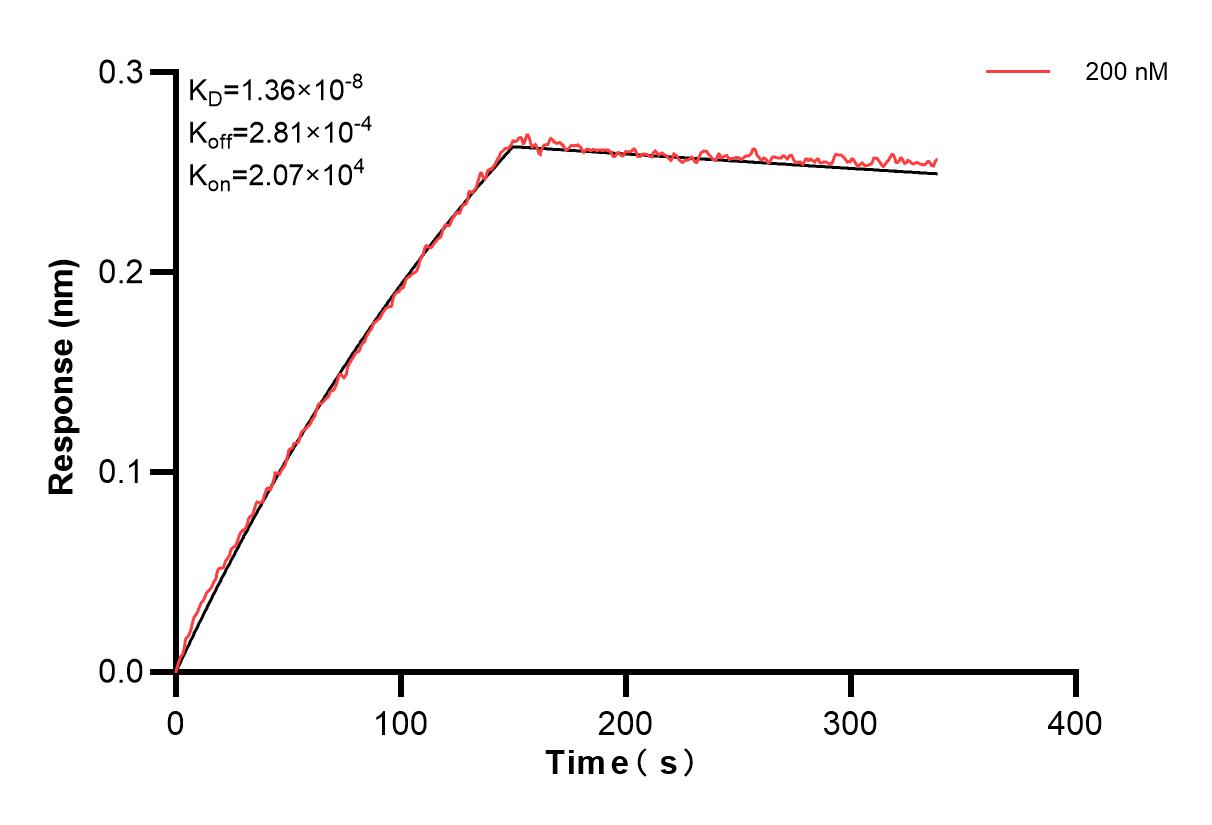 Affinity and Kinetic Characterization of 84129-4-PBS