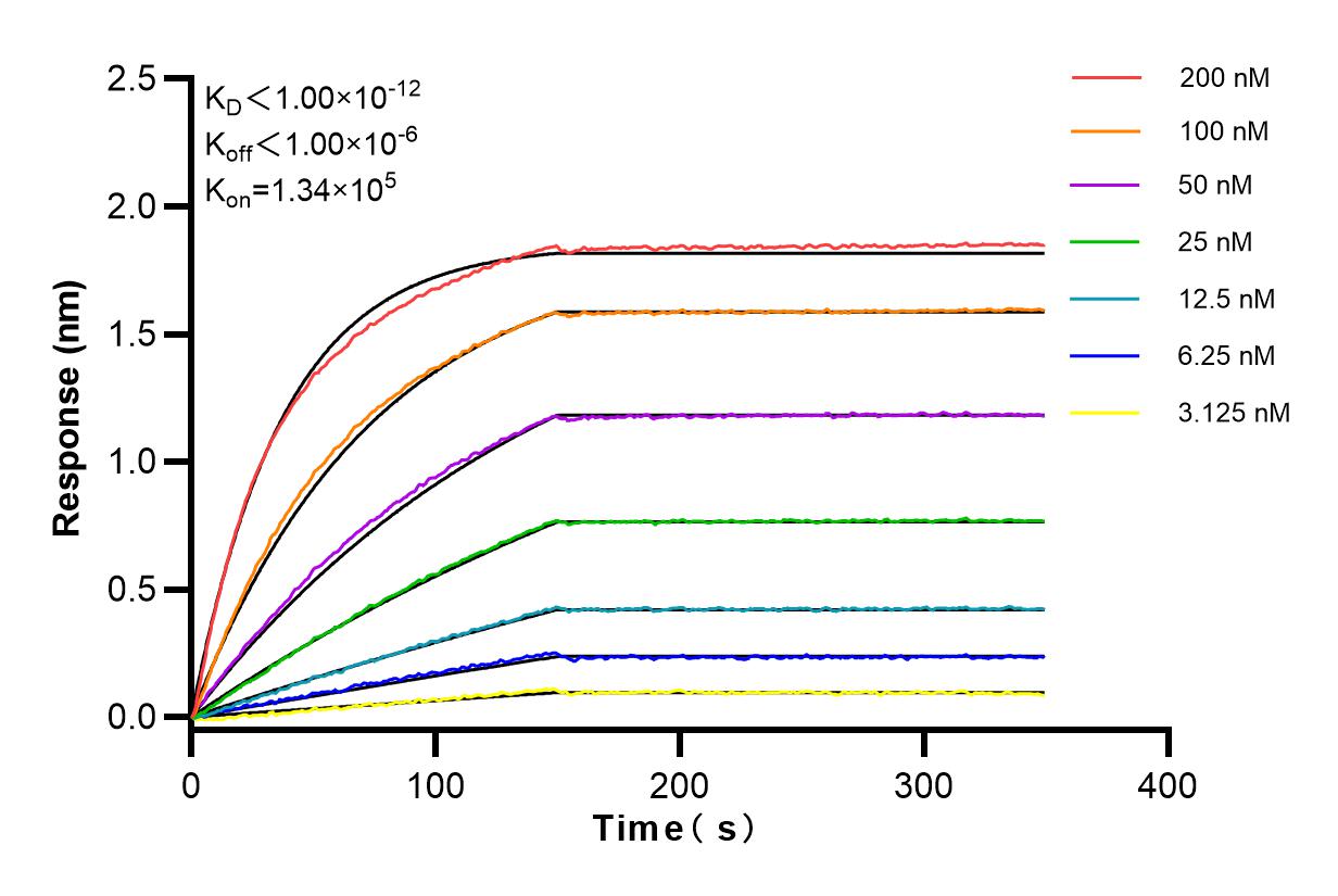 Affinity and Kinetic Characterization of 84135-2-RR