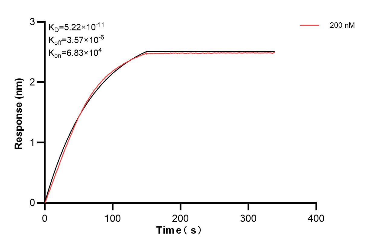 Affinity and Kinetic Characterization of 84151-2-PBS