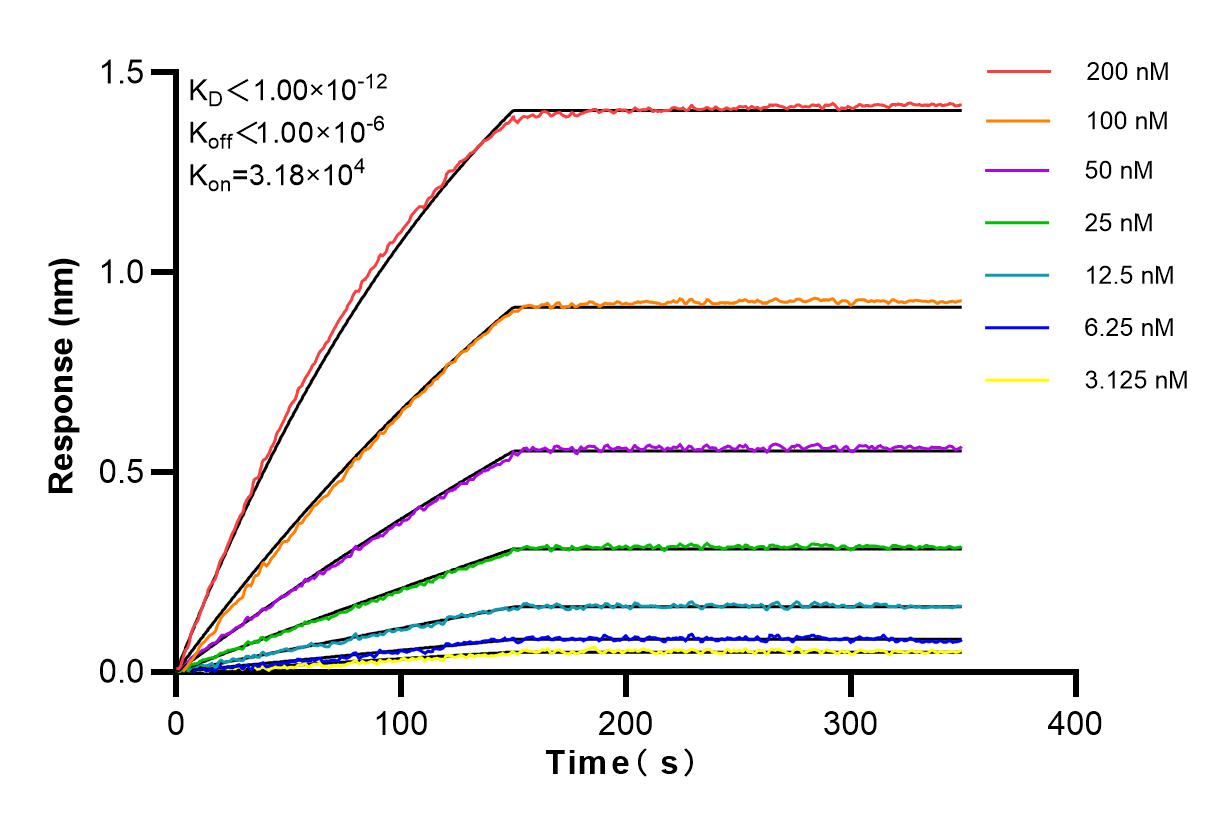 Affinity and Kinetic Characterization of 84151-4-RR