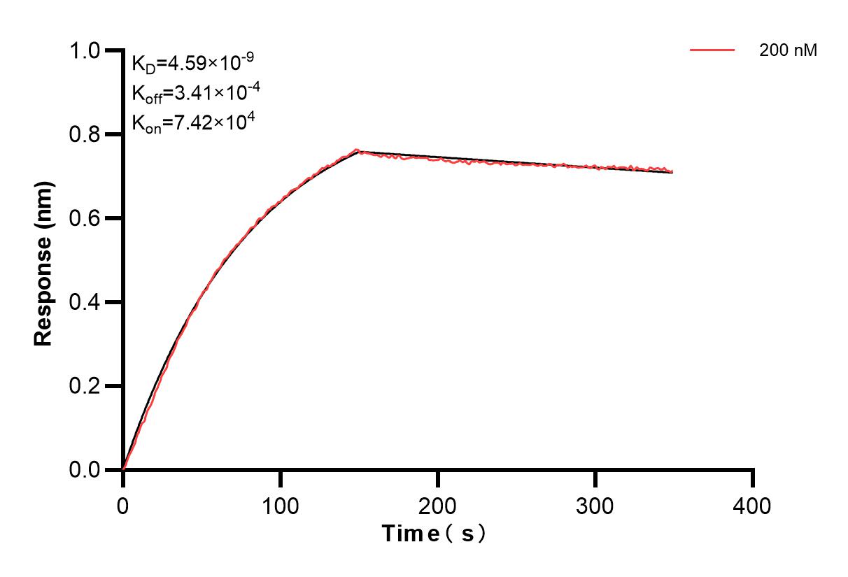 Affinity and Kinetic Characterization of 84153-1-PBS