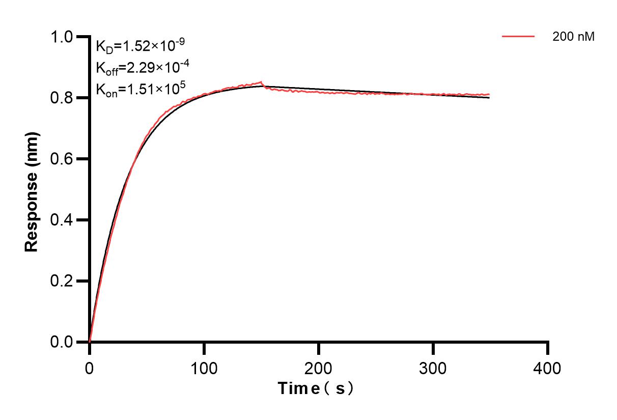 Affinity and Kinetic Characterization of 84153-2-PBS