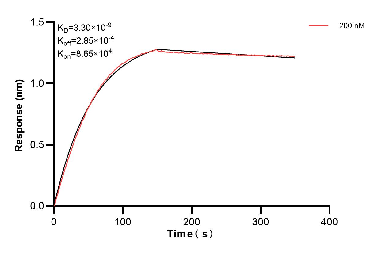 Affinity and Kinetic Characterization of 84153-4-PBS