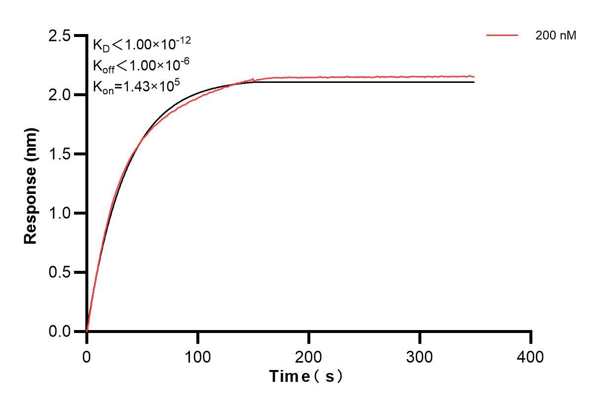 Affinity and Kinetic Characterization of 84164-3-PBS