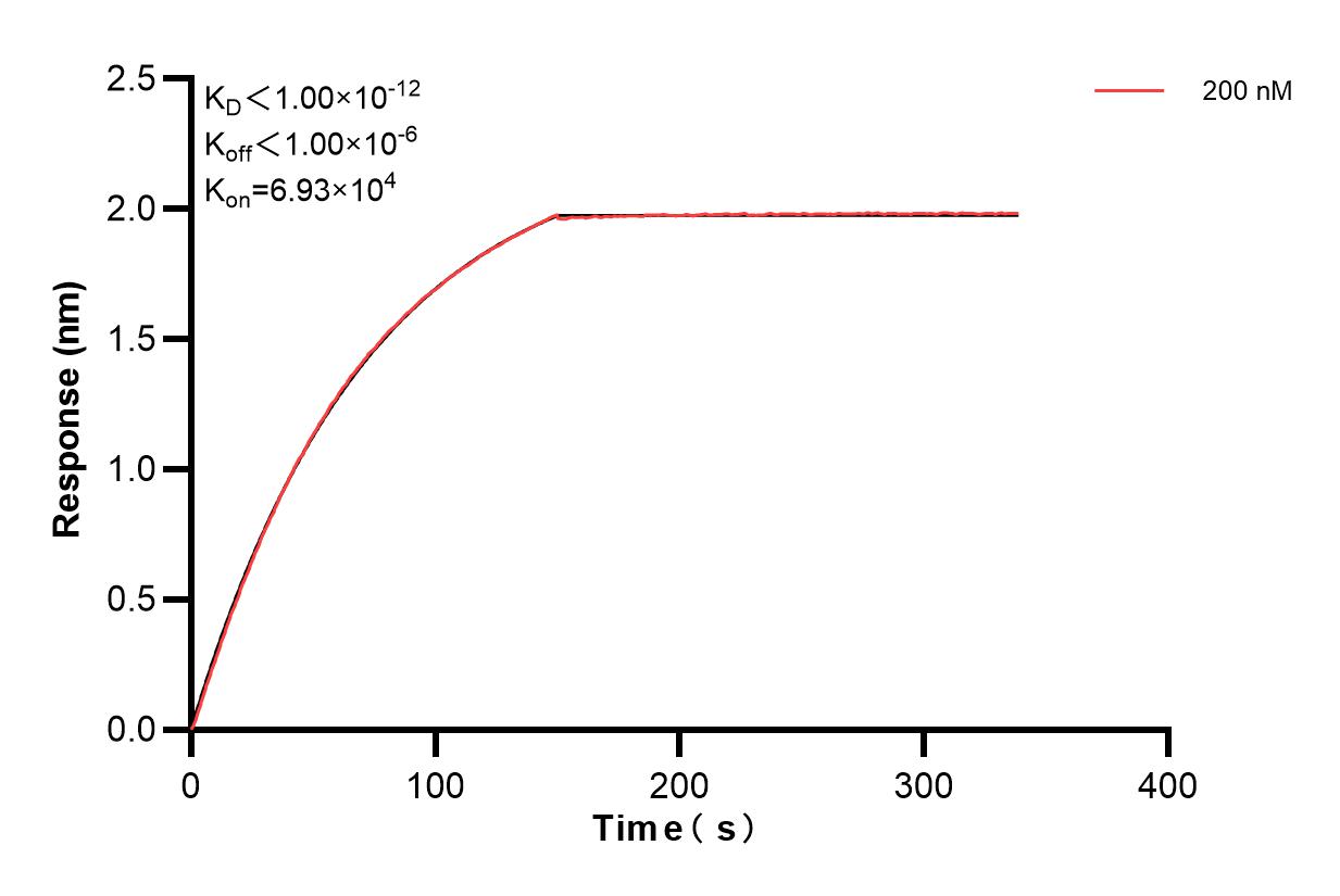 Affinity and Kinetic Characterization of 84169-2-PBS