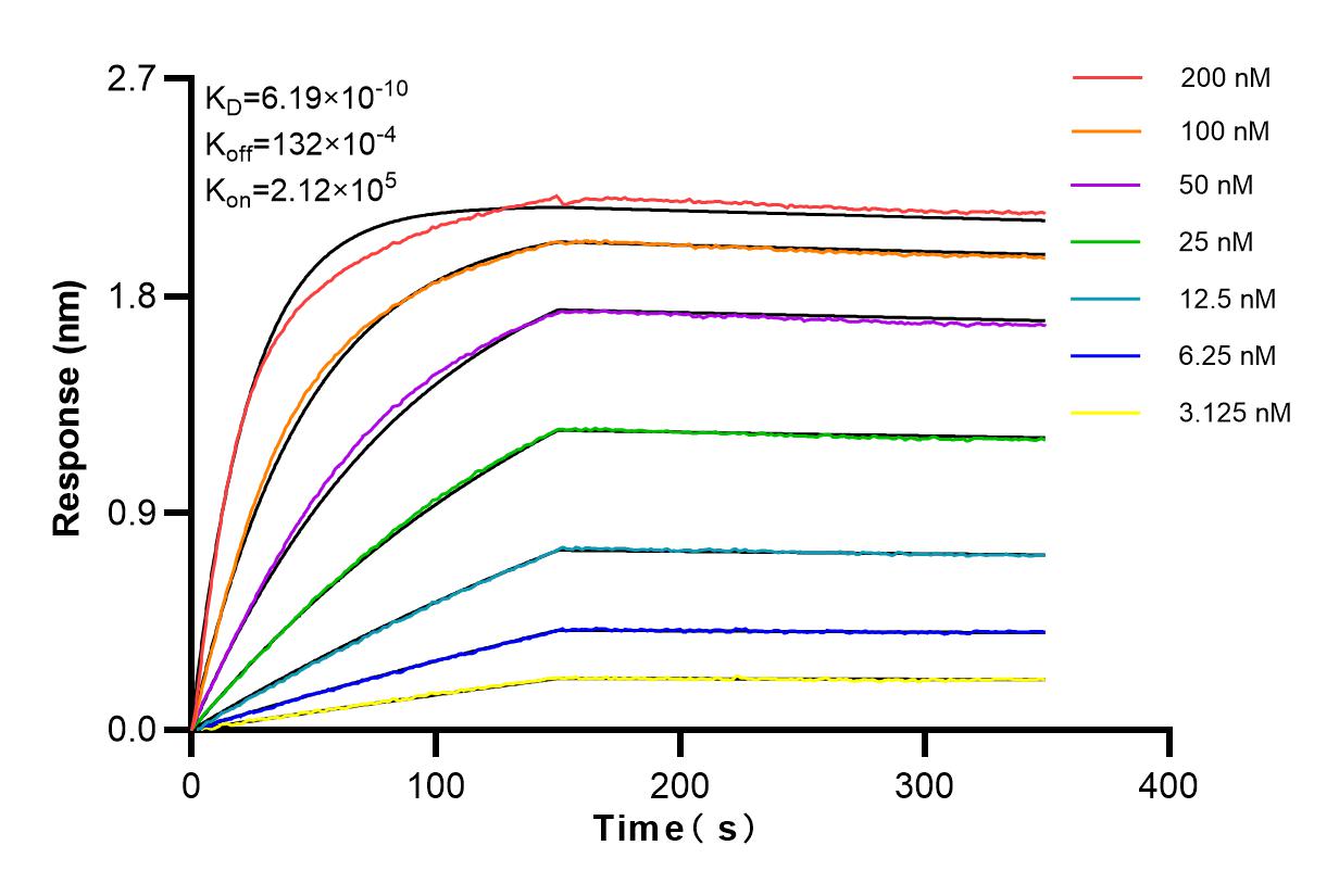 Affinity and Kinetic Characterization of 84171-5-RR