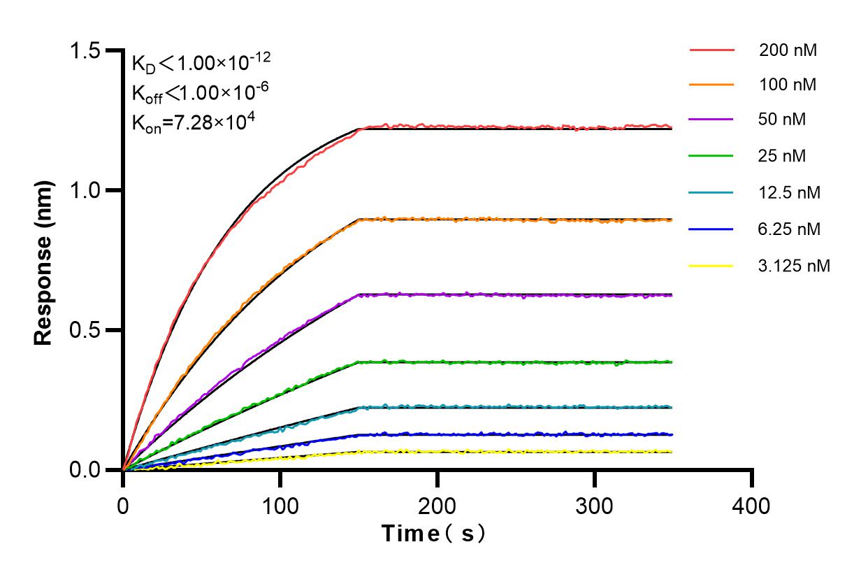 Affinity and Kinetic Characterization of 84193-4-RR