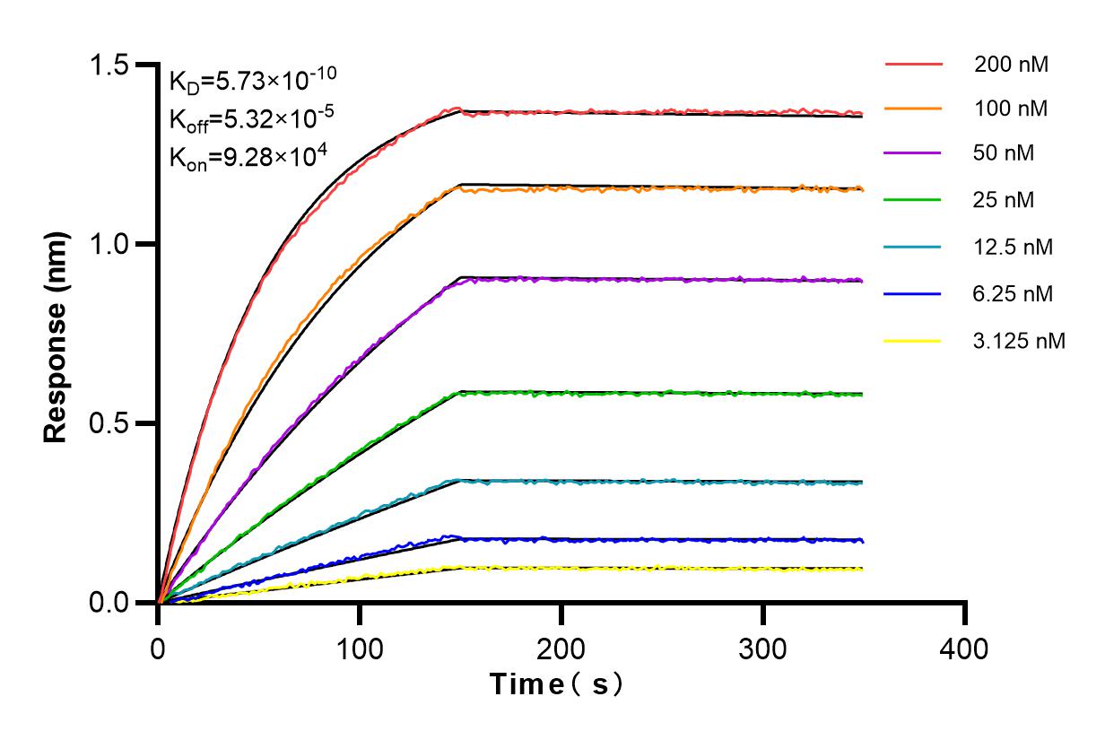 Affinity and Kinetic Characterization of 84194-6-RR