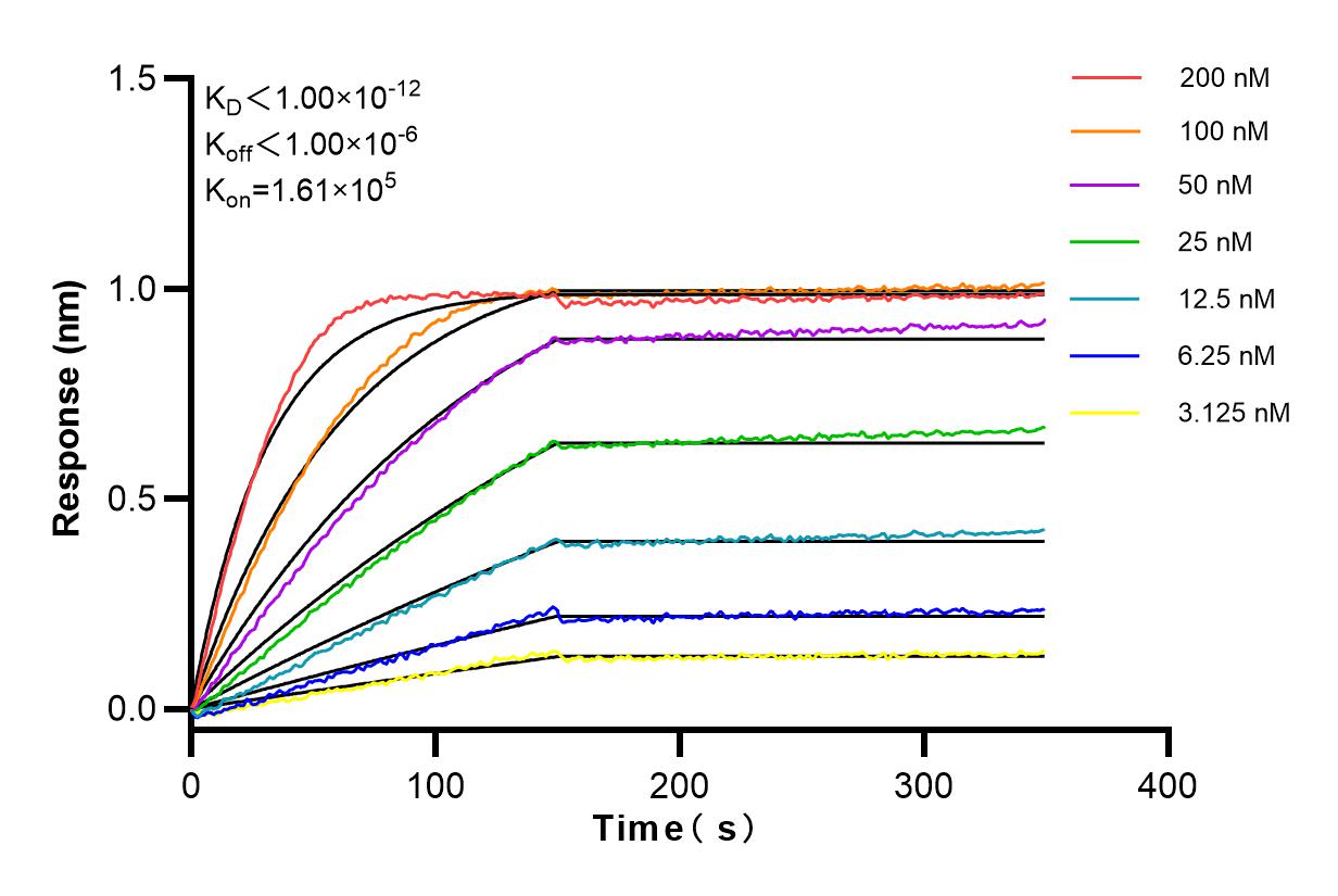 Affinity and Kinetic Characterization of 84201-1-RR