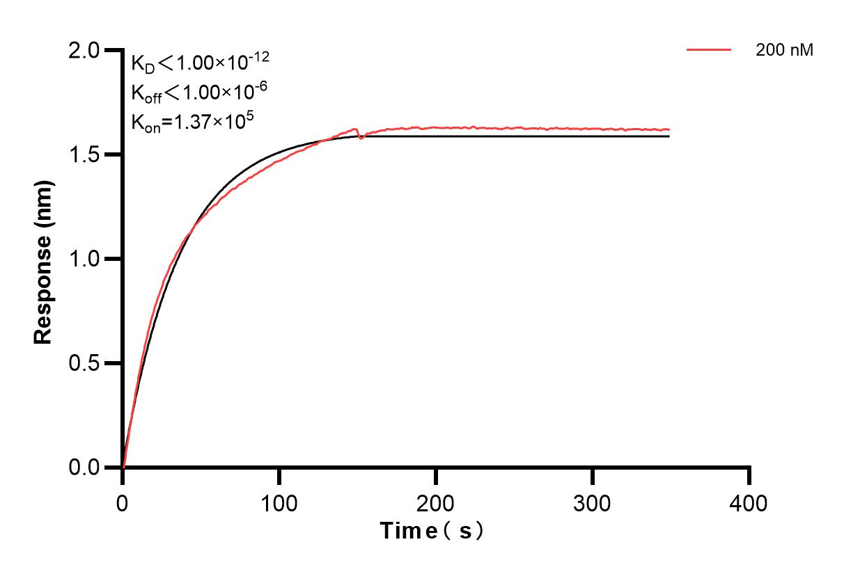 Affinity and Kinetic Characterization of 84208-2-PBS