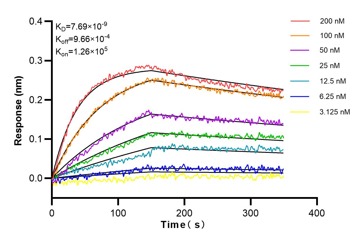 Affinity and Kinetic Characterization of 84209-5-RR