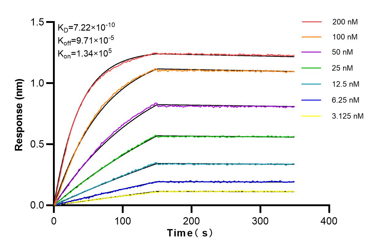 Affinity and Kinetic Characterization of 84210-4-RR