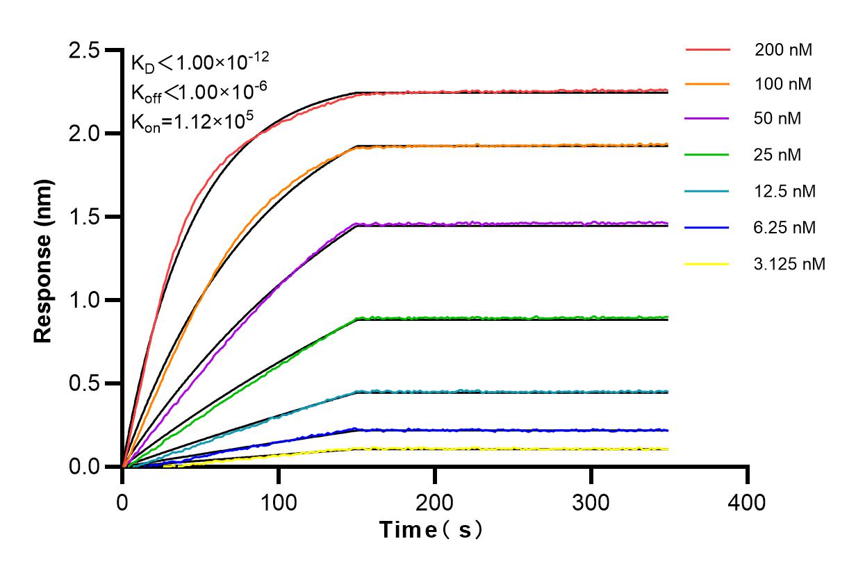 Affinity and Kinetic Characterization of 84216-1-RR