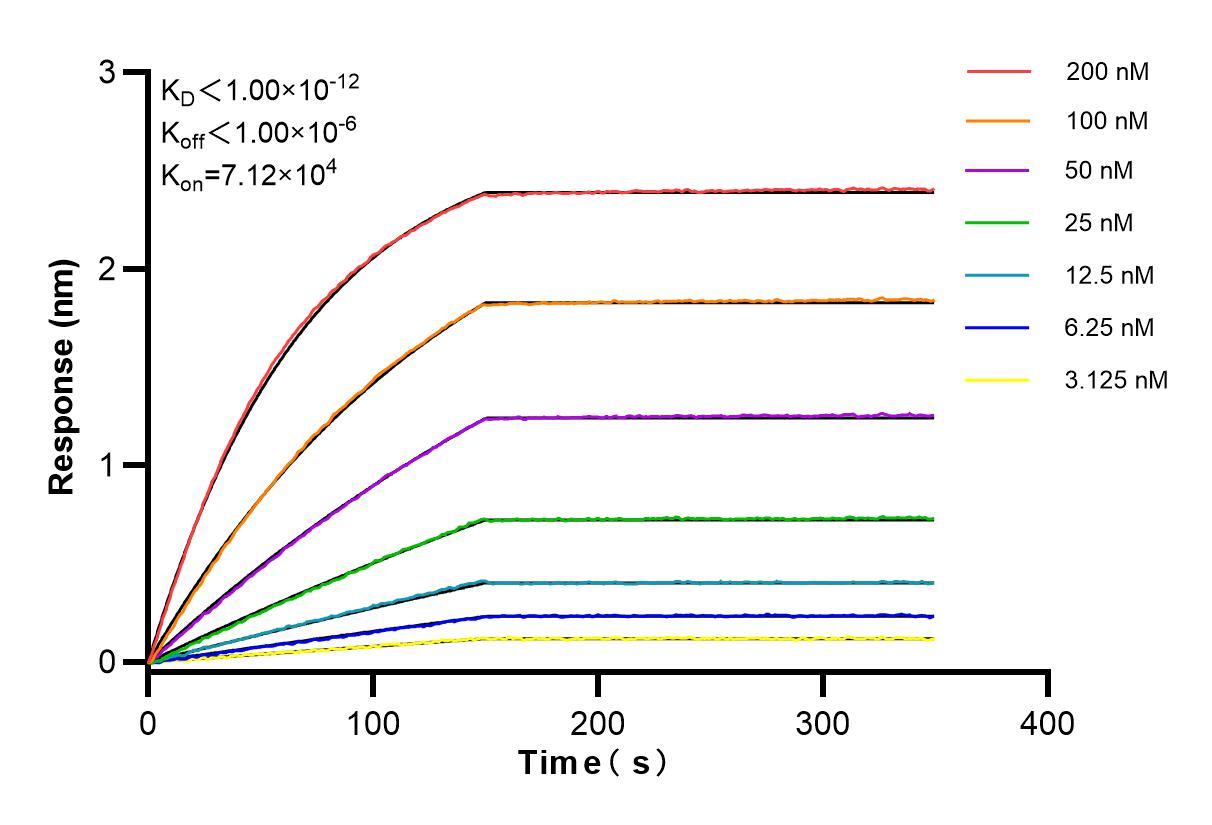 Affinity and Kinetic Characterization of 84217-4-RR