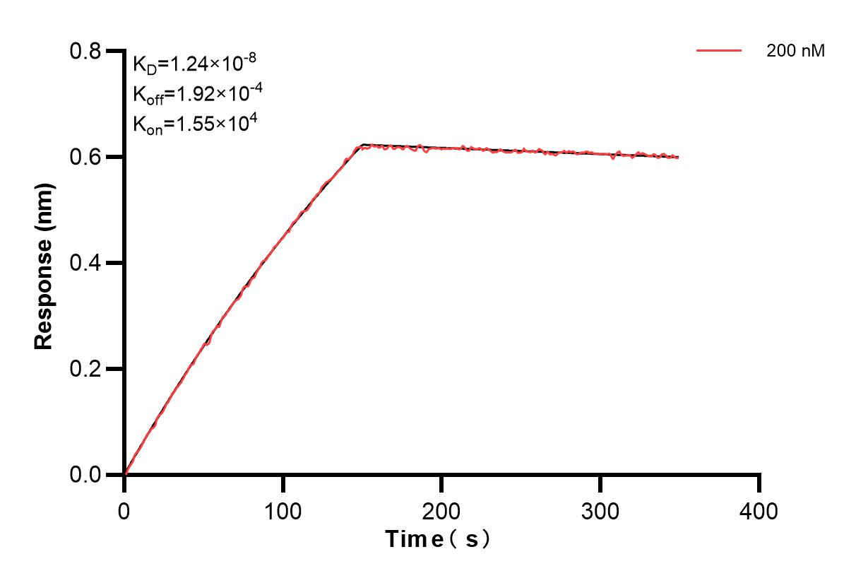 Affinity and Kinetic Characterization of 84218-1-PBS