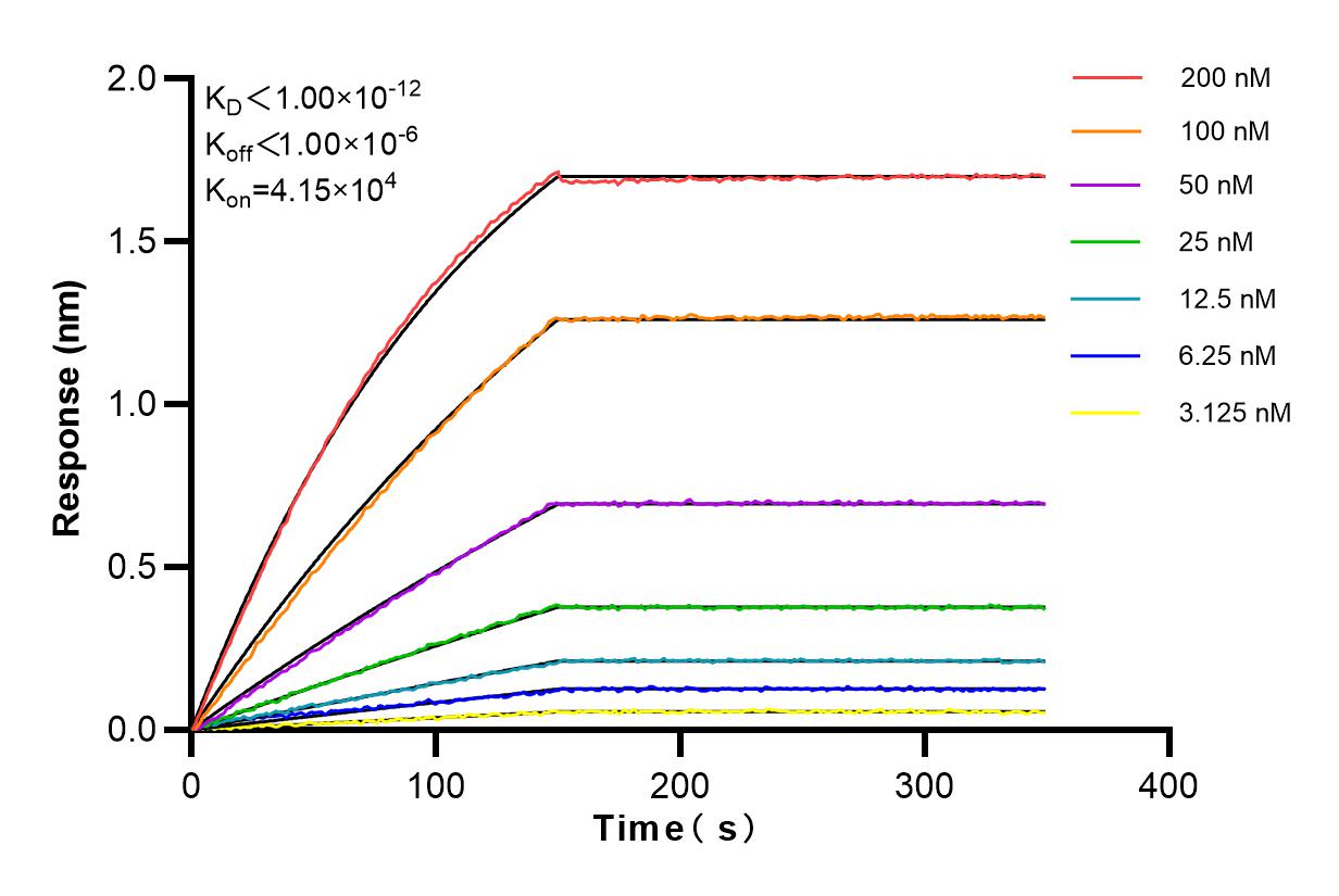 Affinity and Kinetic Characterization of 84224-2-RR