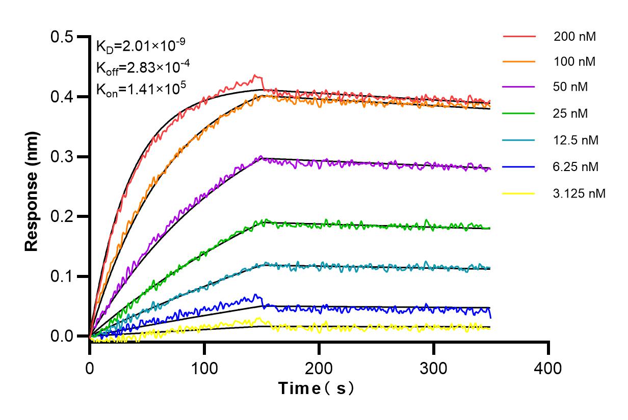 Affinity and Kinetic Characterization of 84231-4-RR