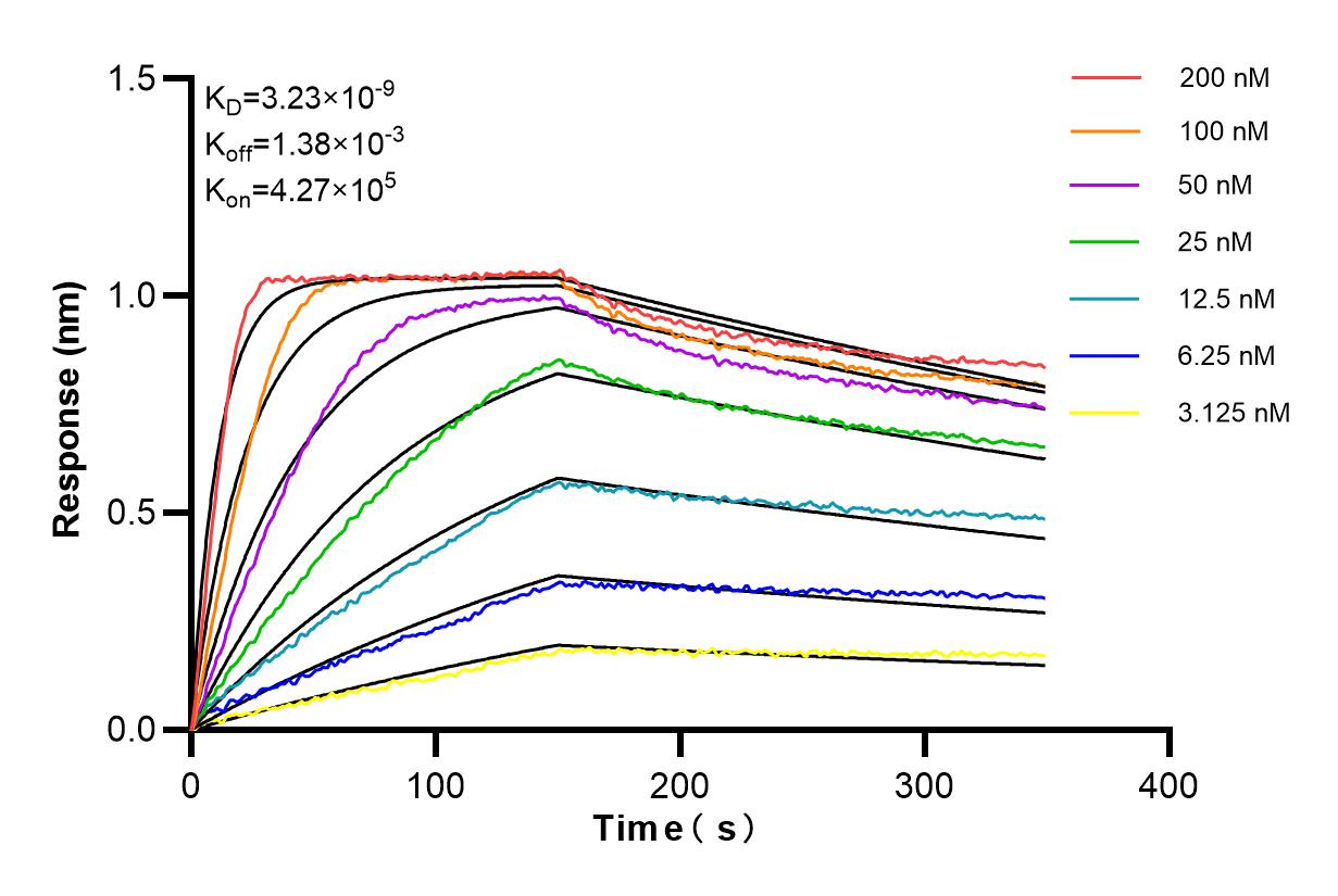 Affinity and Kinetic Characterization of 84234-5-RR