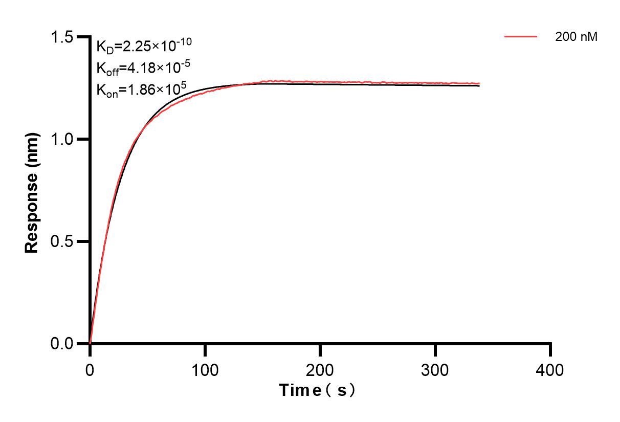 Affinity and Kinetic Characterization of 84237-4-PBS