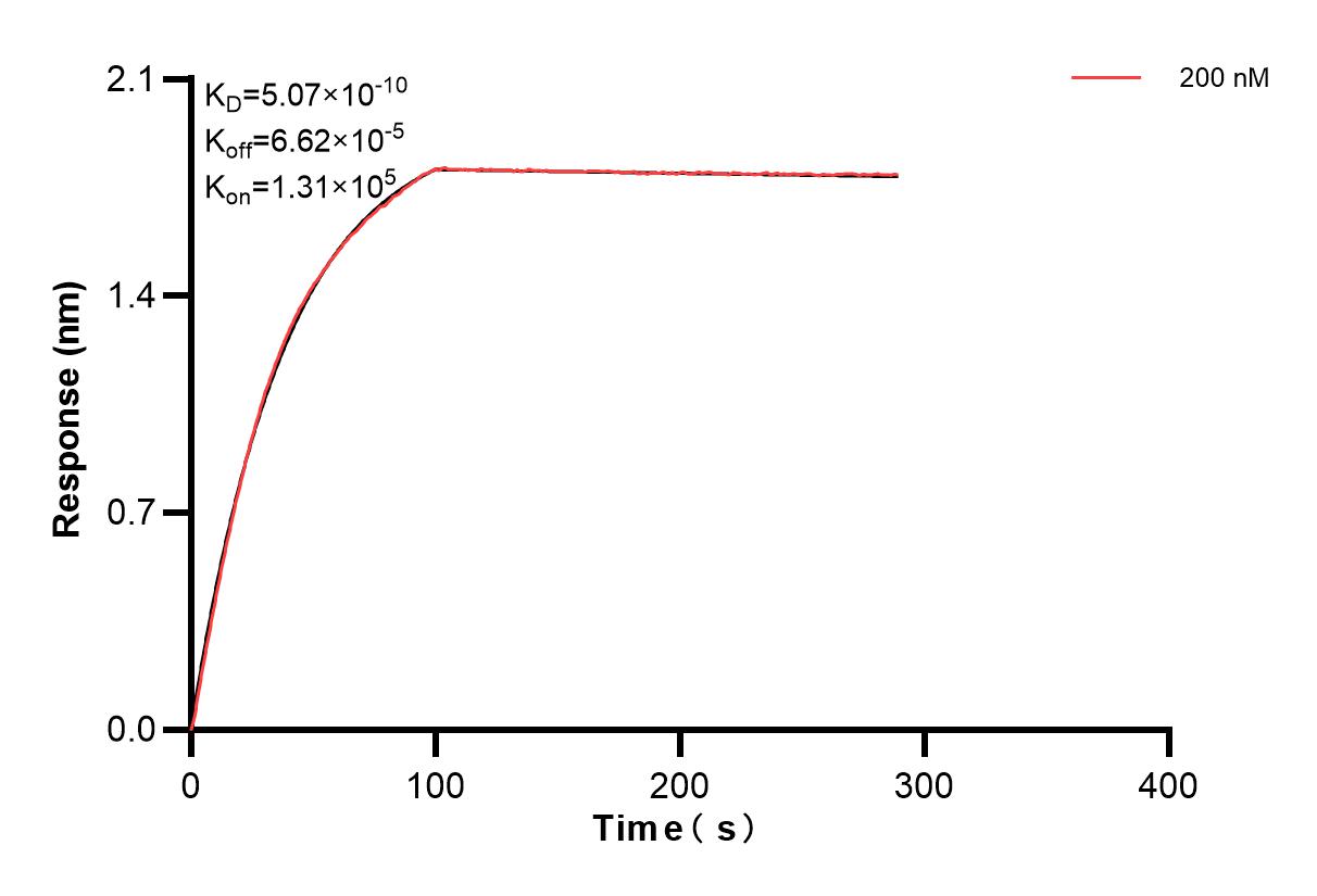 Affinity and Kinetic Characterization of 84239-1-PBS