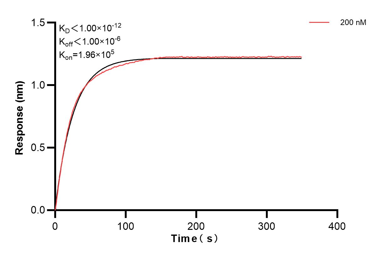 Affinity and Kinetic Characterization of 84239-3-PBS