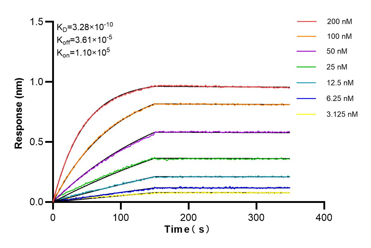 Affinity and Kinetic Characterization of 84239-4-RR