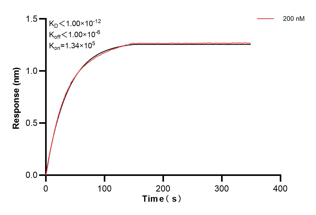 Affinity and Kinetic Characterization of 84239-5-PBS