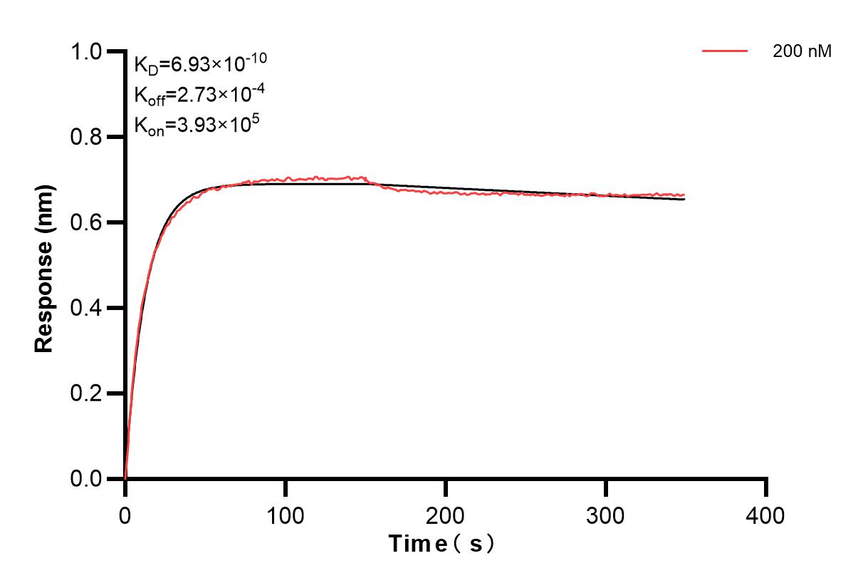 Affinity and Kinetic Characterization of 84240-1-PBS