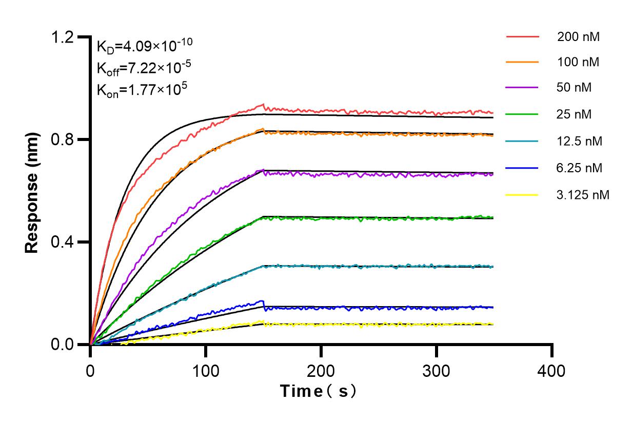 Affinity and Kinetic Characterization of 84245-2-RR