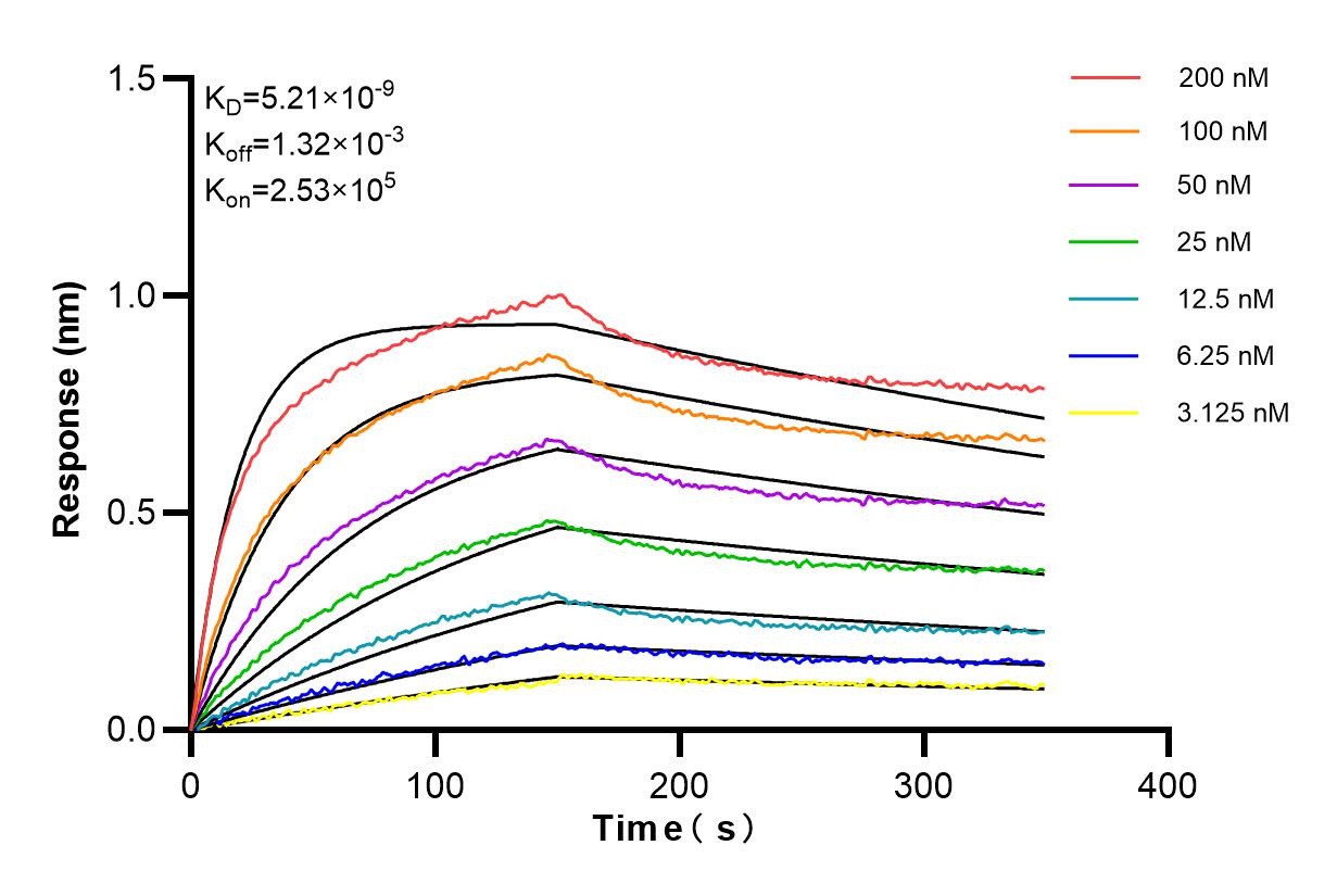 Affinity and Kinetic Characterization of 84247-4-RR