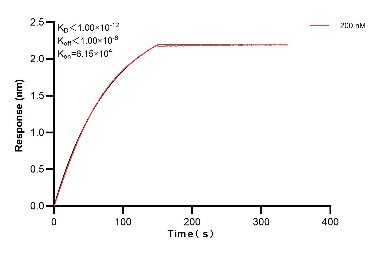 Affinity and Kinetic Characterization of 84261-4-PBS