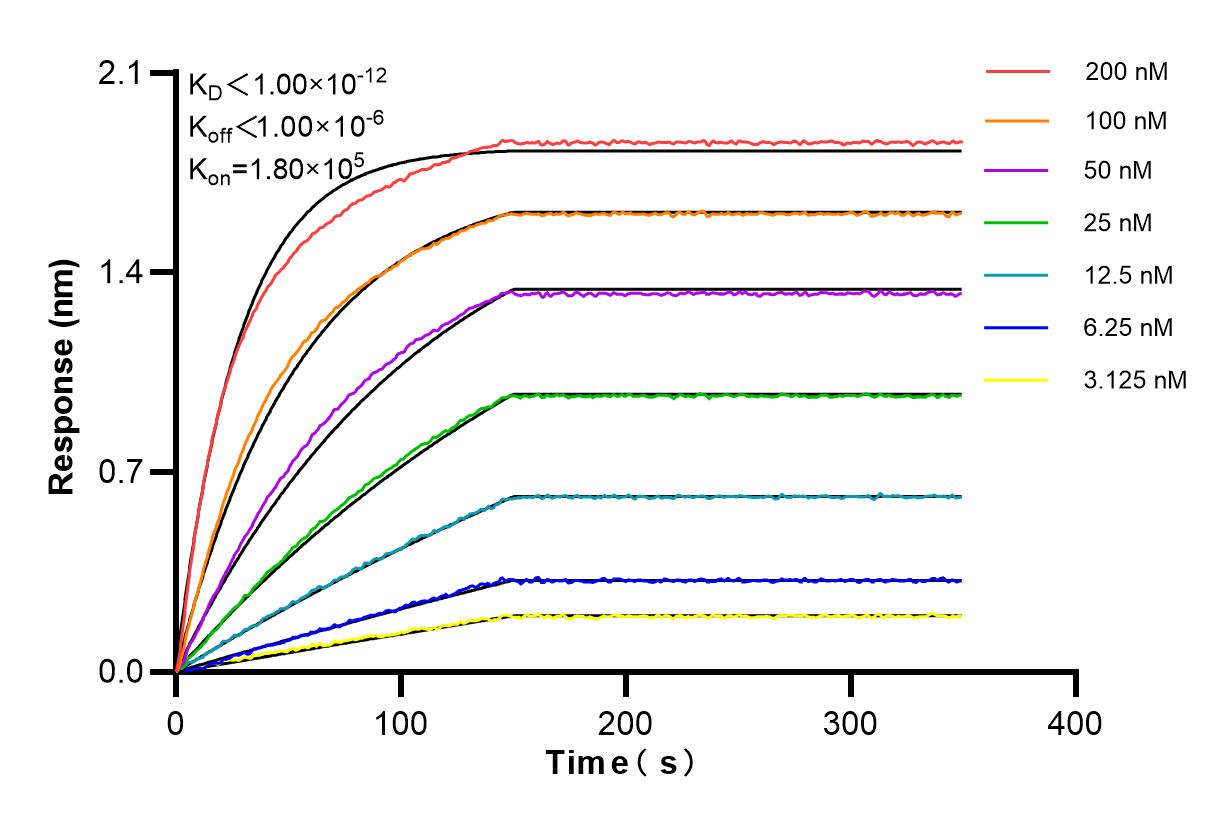 Affinity and Kinetic Characterization of 84264-6-RR