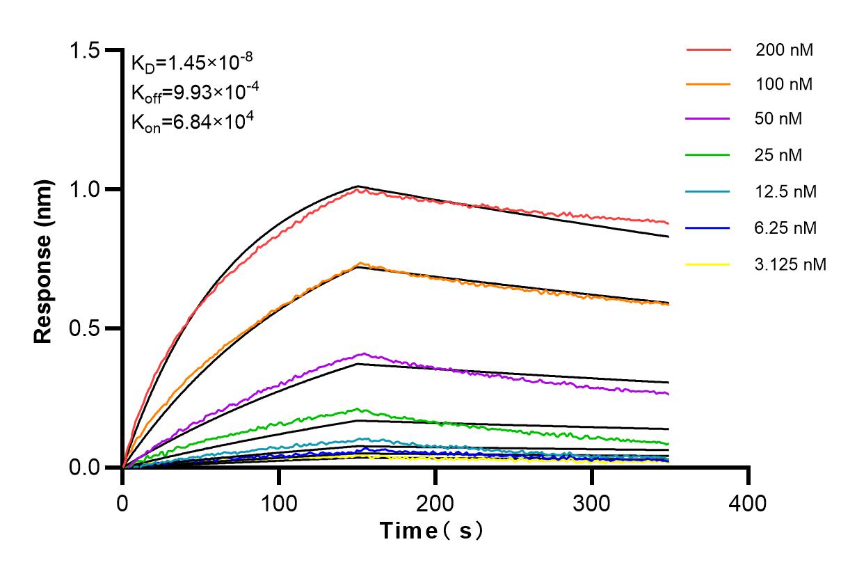 Affinity and Kinetic Characterization of 84267-3-RR