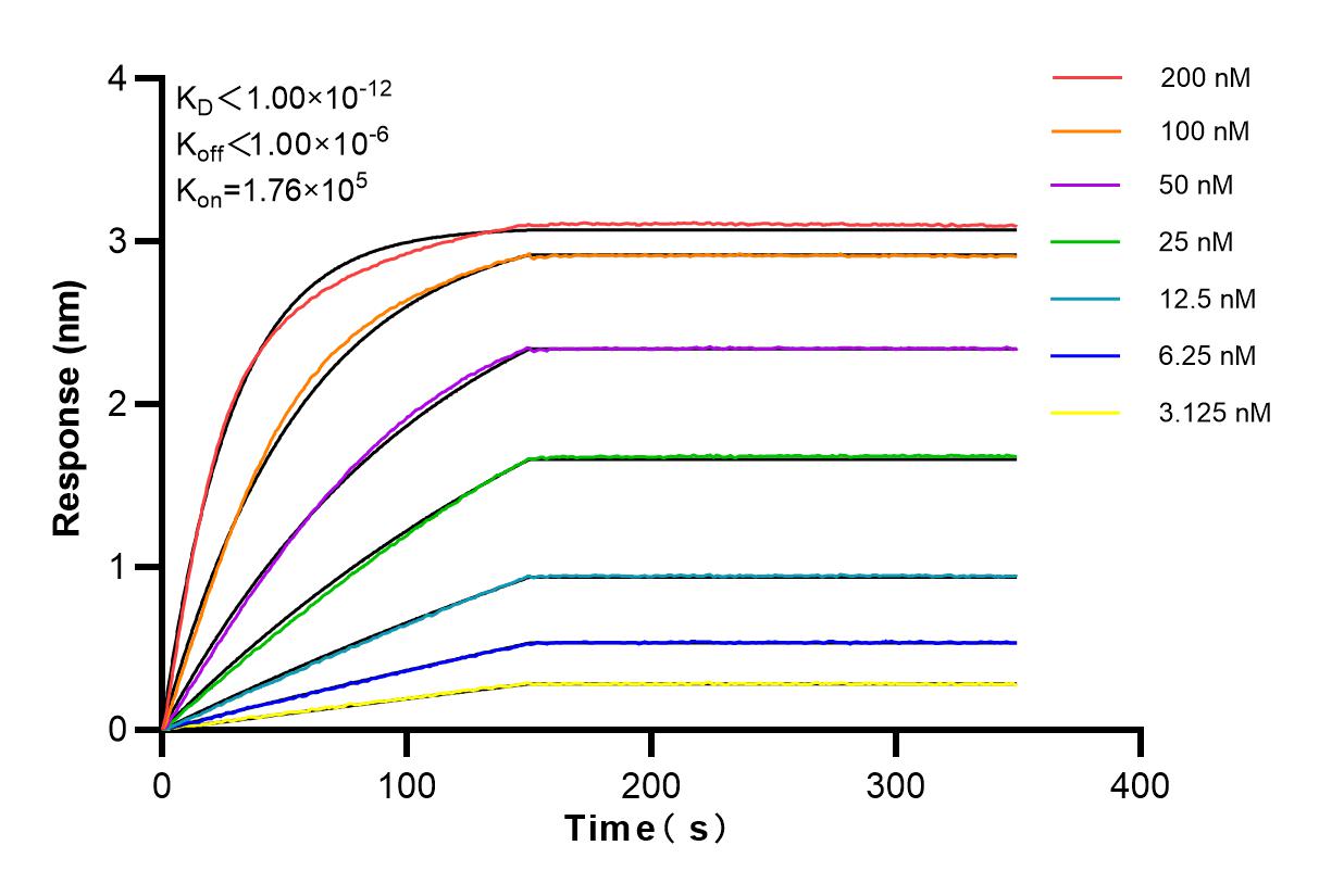 Affinity and Kinetic Characterization of 84268-1-RR