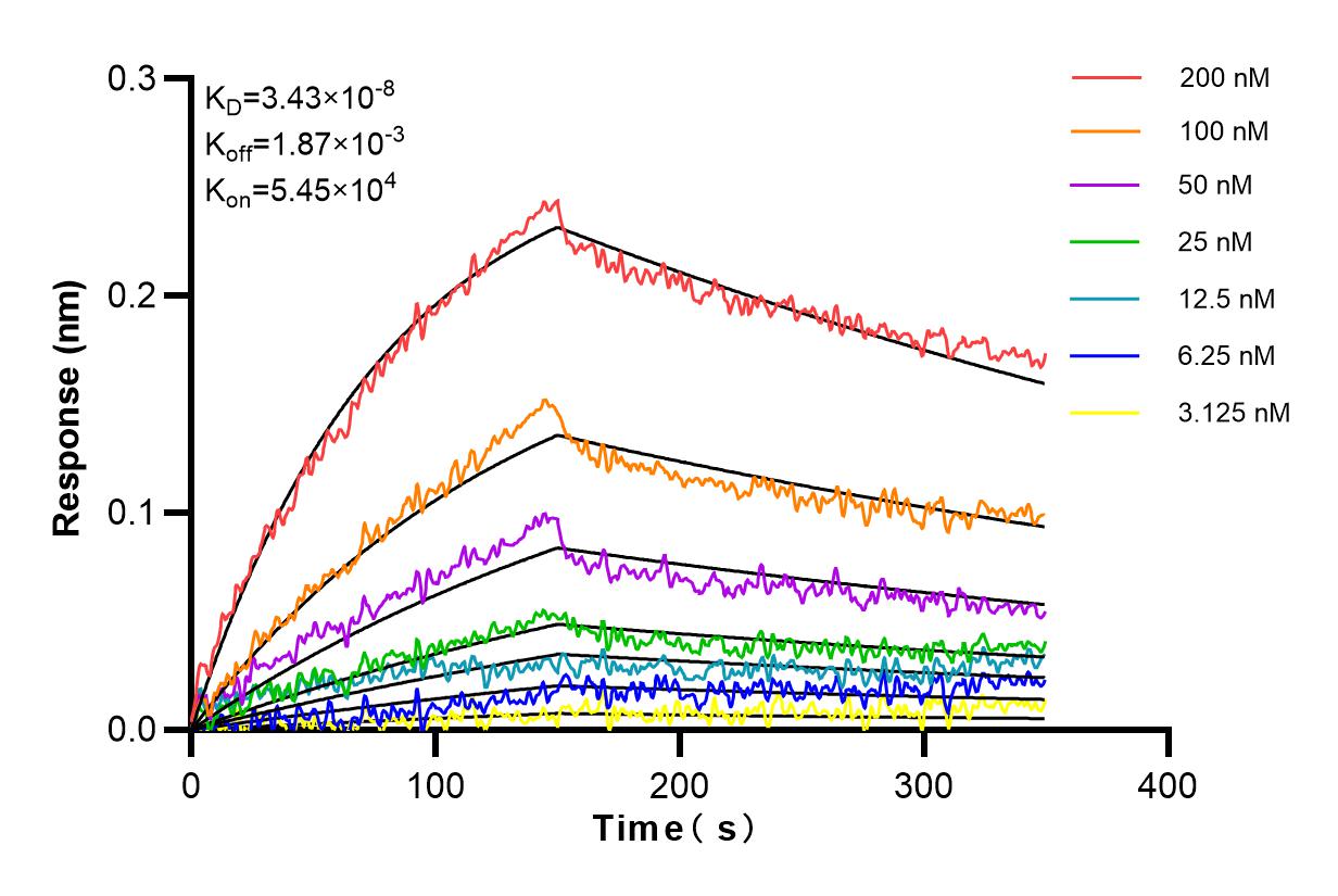 Affinity and Kinetic Characterization of 84271-1-RR